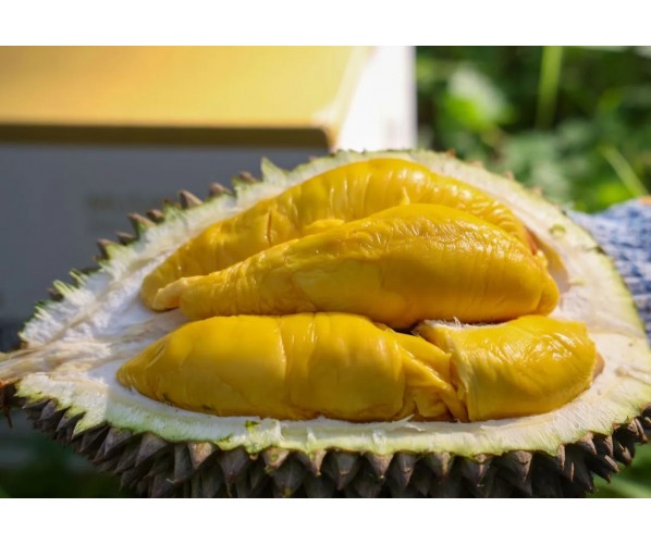 Durian Basar